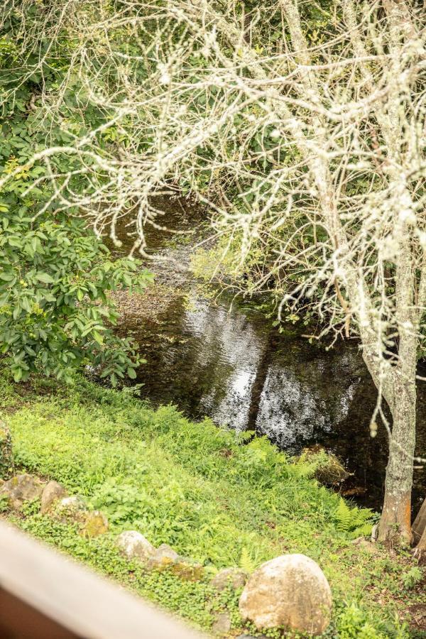 Гостевой дом Lugar Del Rio Коусадойро Экстерьер фото